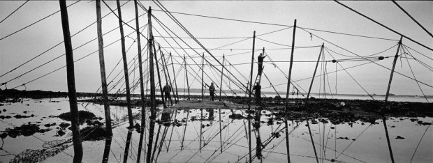Catching the Tide