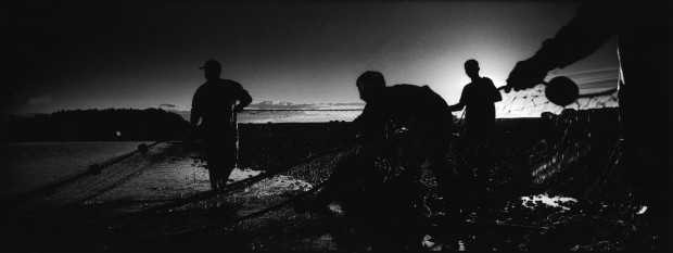 Catching the Tide