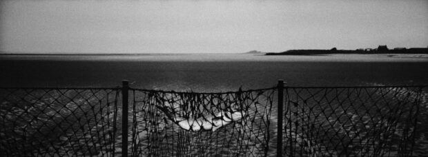 Catching the Tide