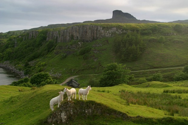 I am the Eigg (post)man
