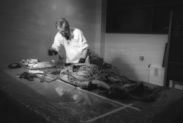 199301_Braer_1310