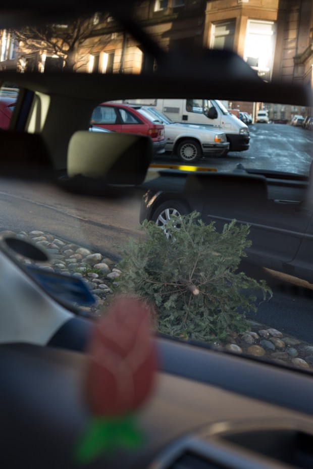 Christmas tree thrown out as garbage, in Glasgow, Scotland, 1st January 2013