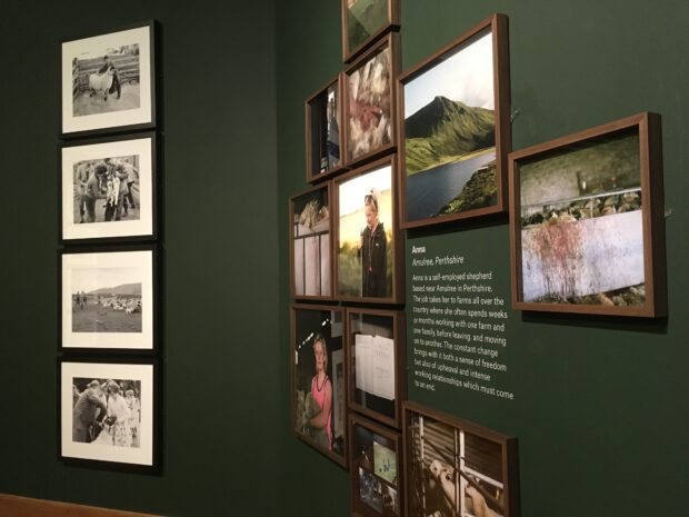 Installation shot of drawn to The Land at Perth Museum and Art Gallery. July 2019