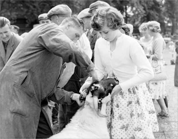 Elizabeth Bruges, Perthshire Highland Show. Image by John Watt between 1959 and 1961, © Perth Museum and Art Gallery archive.